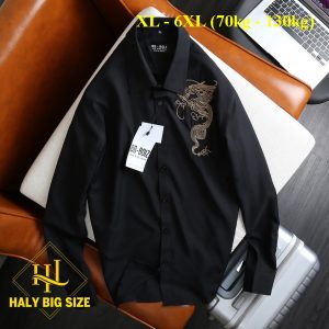 Áo sơ mi nam họa tiết tay dài h021