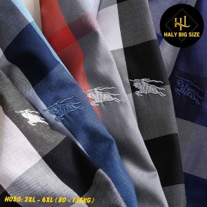 Áo sơ mi nam tay dài big size caro h050