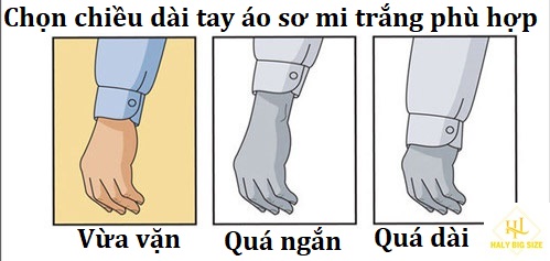 Chiều dài tay áo sơ mi vừa phải