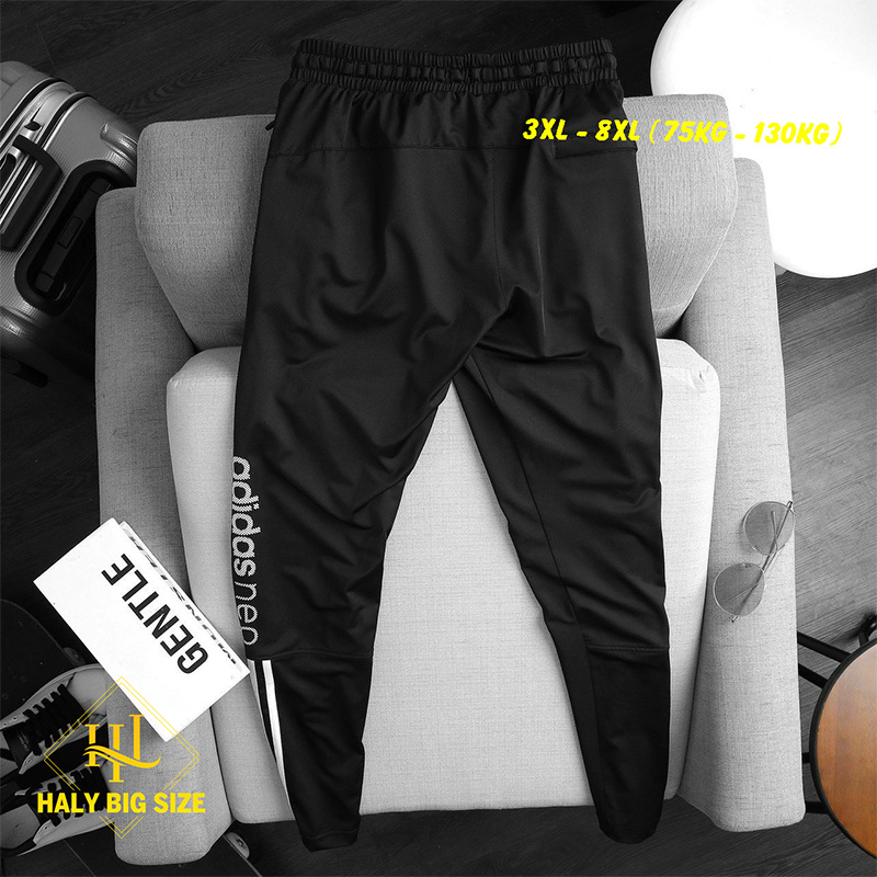 quan jogger thun big size