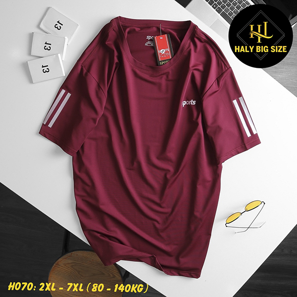 H070-ao-thun-lanh-nam-size-to-2