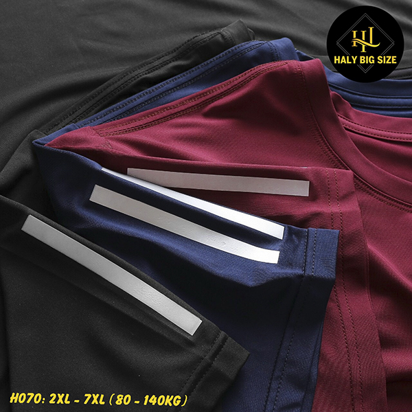H070-ao-thun-lanh-nam-size-to-4