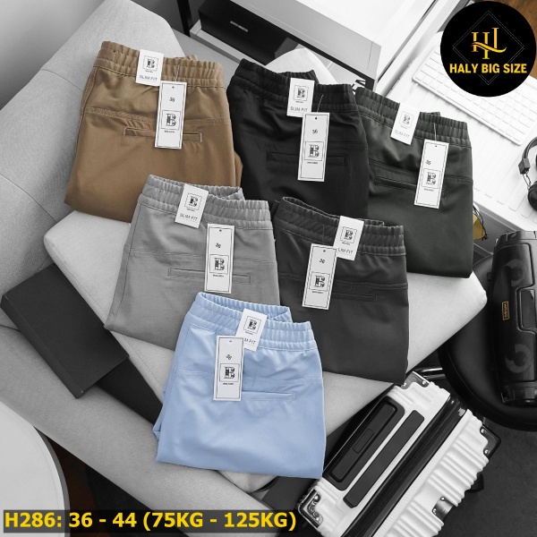 quần short kaki big size H286