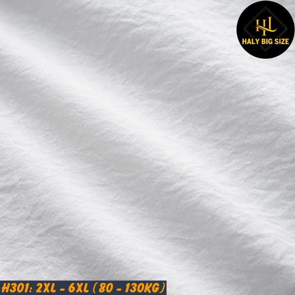 Áo sơ mi tay dài nam big size H301