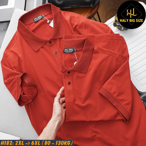 Áo polo nam big size H182