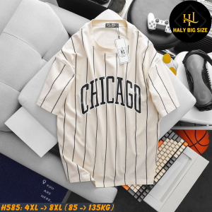 Áo thun nam big size sọc dọc H585