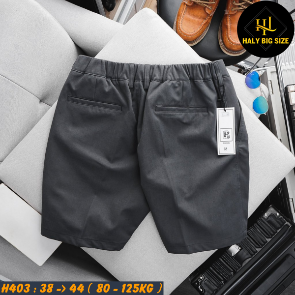 H403-Quan-Short-Tay-lung-thun-bigsize-nam2