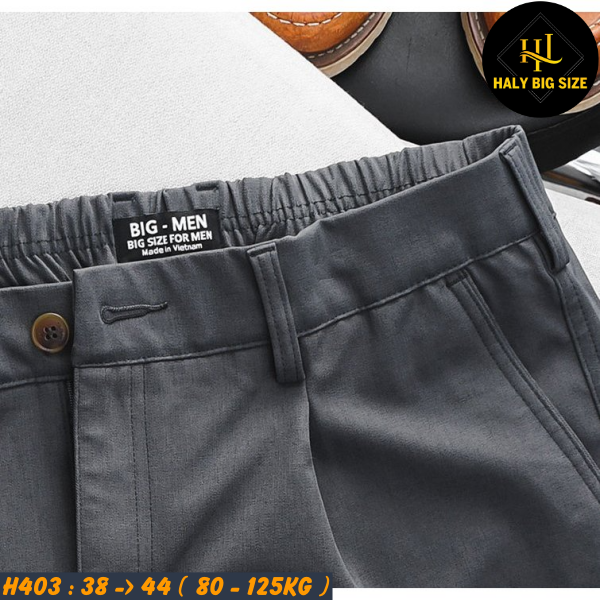 H403-Quan-Short-Tay-lung-thun-bigsize-nam3