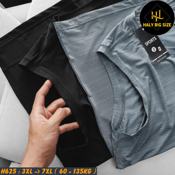 H625-Ao-thun-3-lo-dap-van-ngang-nam-bigsize-9