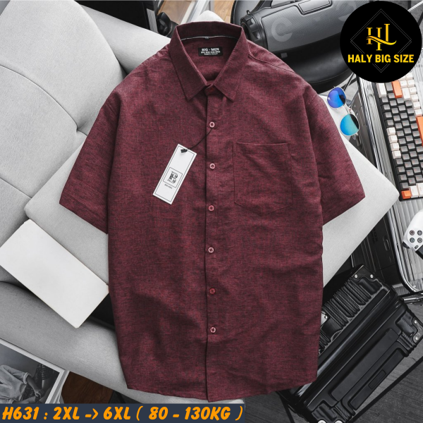 H631-Ao-SMTN-vai-dui-nam-bigsize-4