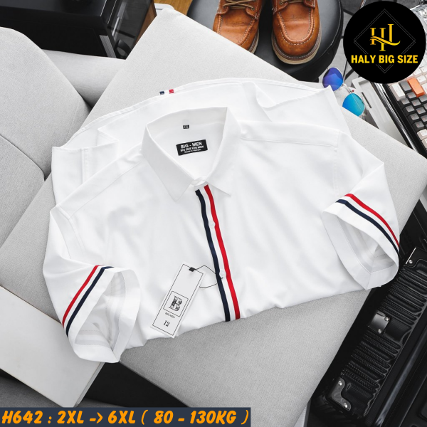 H642-Ao-SMTN-phoi-soc-nam-bigsize-2