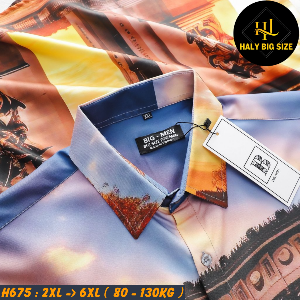 H675-Ao-SMTN-hoa-tiet-thoi-trang-big-size-nam-2