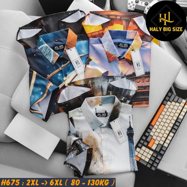 H675-Ao-SMTN-hoa-tiet-thoi-trang-big-size-nam-6