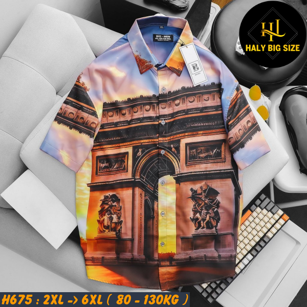 H675-Ao-SMTN-hoa-tiet-thoi-trang-big-size-nam-9