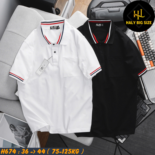 H691-Ao-thun-polo-ca-sau-phoi-bo-co-big-size-nam-1-1