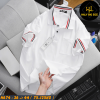 H691-Ao-thun-polo-ca-sau-phoi-bo-co-big-size-nam-3-1