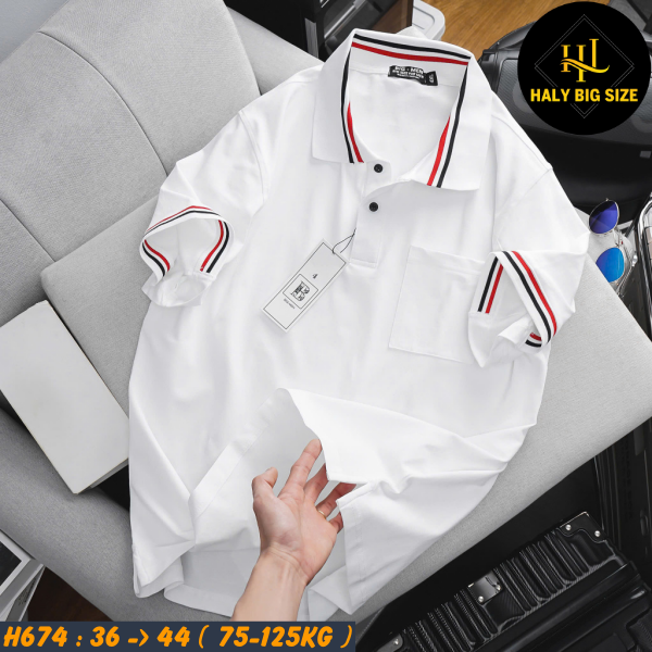 H691-Ao-thun-polo-ca-sau-phoi-bo-co-big-size-nam-3-1