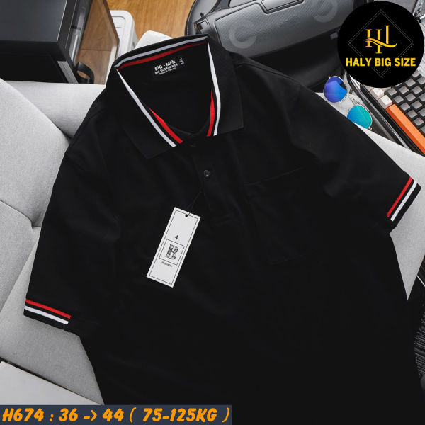 H691-Ao-thun-polo-ca-sau-phoi-bo-co-big-size-nam-4-1