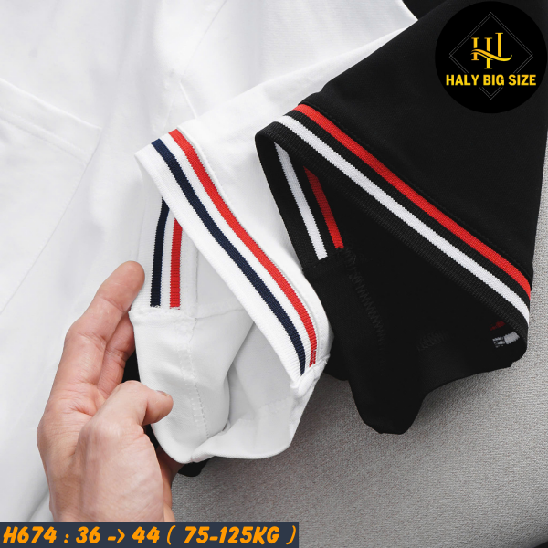 H691-Ao-thun-polo-ca-sau-phoi-bo-co-big-size-nam-5-1