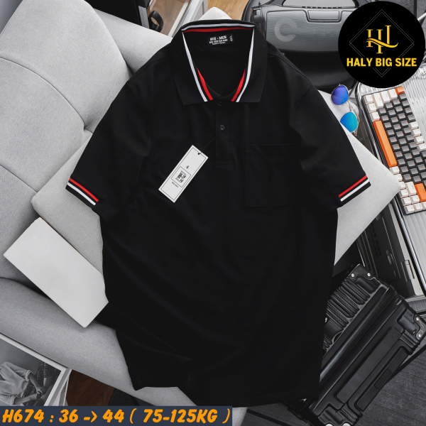H691-Ao-thun-polo-ca-sau-phoi-bo-co-big-size-nam-6-1