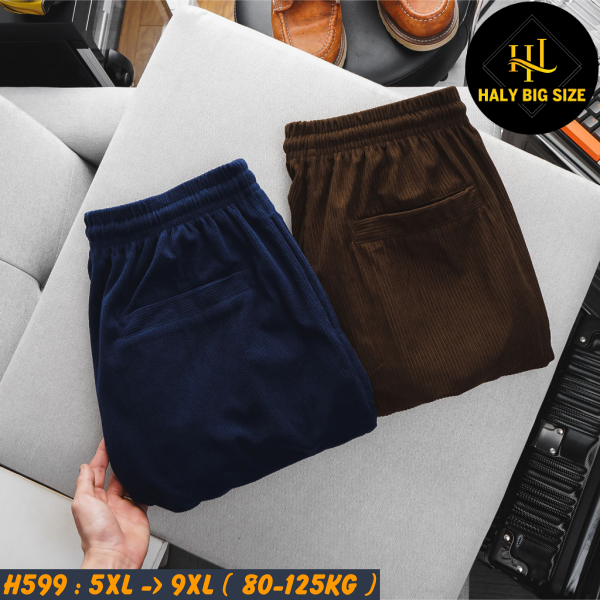 H599-Quan-short-vai-nhung-tam-big-size-nam