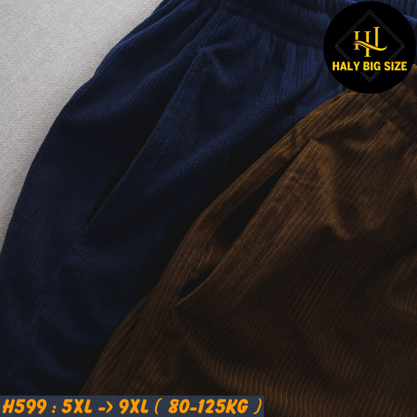 H599-Quan-short-vai-nhung-tam-big-size-nam