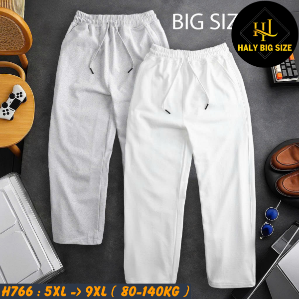 H766-Quan-thun-dai-ong-suong-vai-ni-big-size-nam