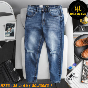 H773-Quan-jean-dai-rach-goi-ma-439-big-size-nam
