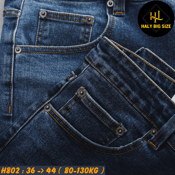 H802-Quan-short-jean-tong-xanh-hoa-tiet-big-size-nam