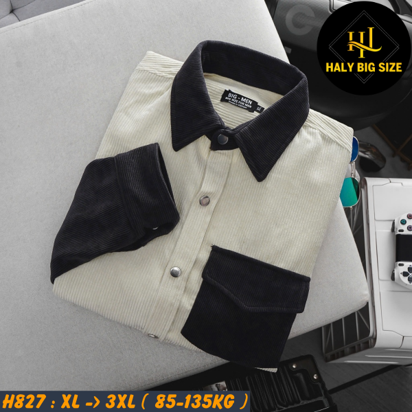 H827-Ao-SMTD-nhung-tam-phoi-mau-big-size-nam