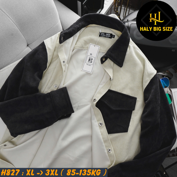 H827-Ao-SMTD-nhung-tam-phoi-mau-big-size-nam