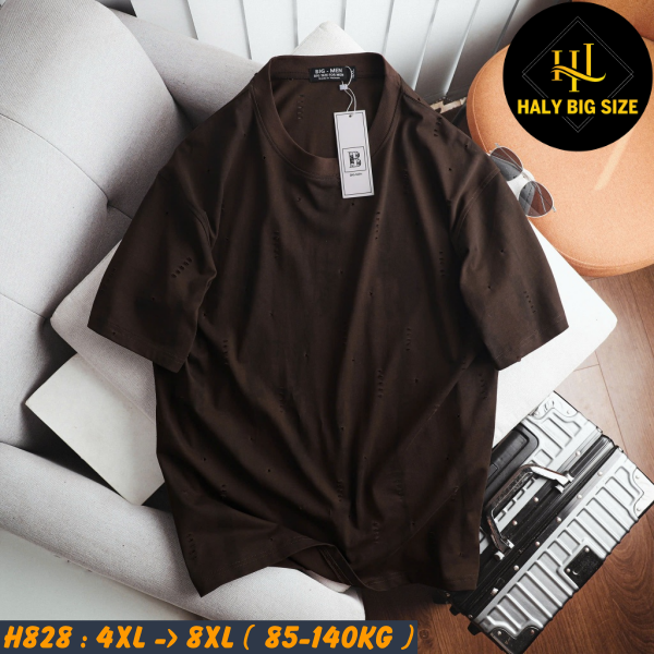 H828-Ao-thun-cotton-wash-rach-nam-big-size