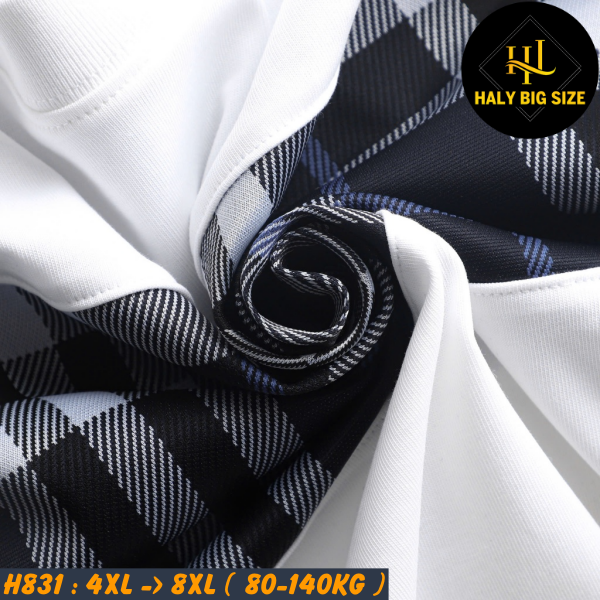 H831-Ao-thun-cotton-4-chieu-big-size-nam