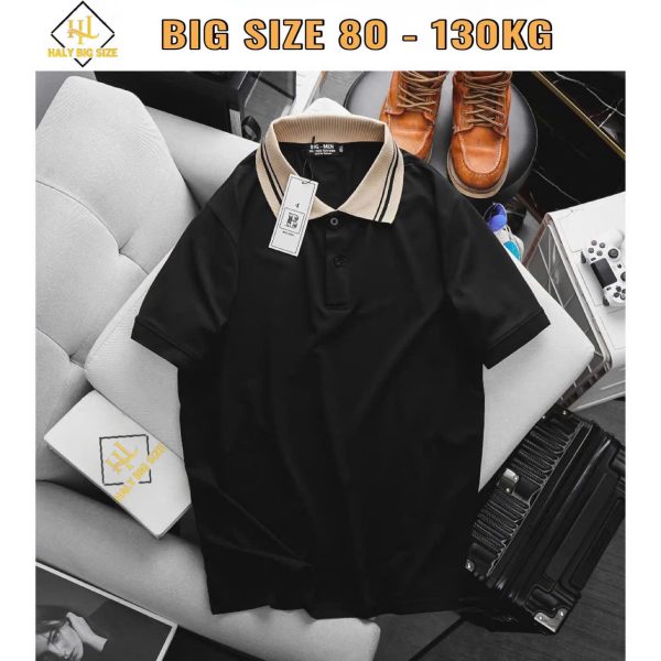 H858-Ao-thun-polo-co-phoi-be-nam-big