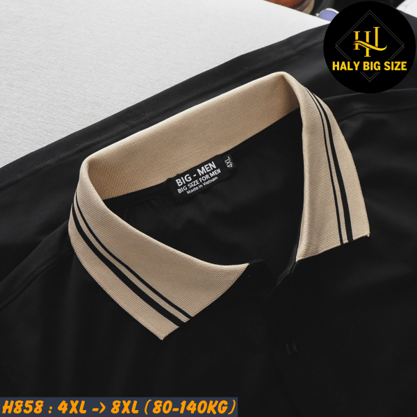 H858-Ao-thun-polo-co-phoi-be-nam-big