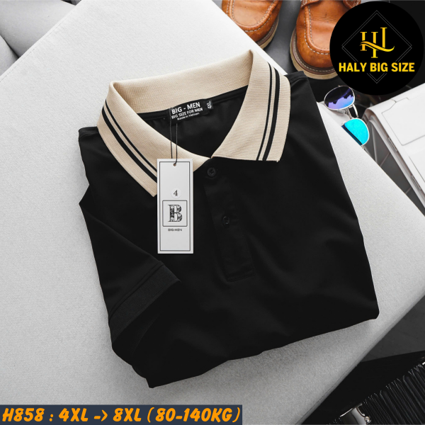 H858-Ao-thun-polo-co-phoi-be-nam-big