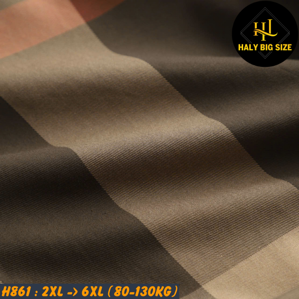 H861-Ao-SMTD-CARO-big-size-nam