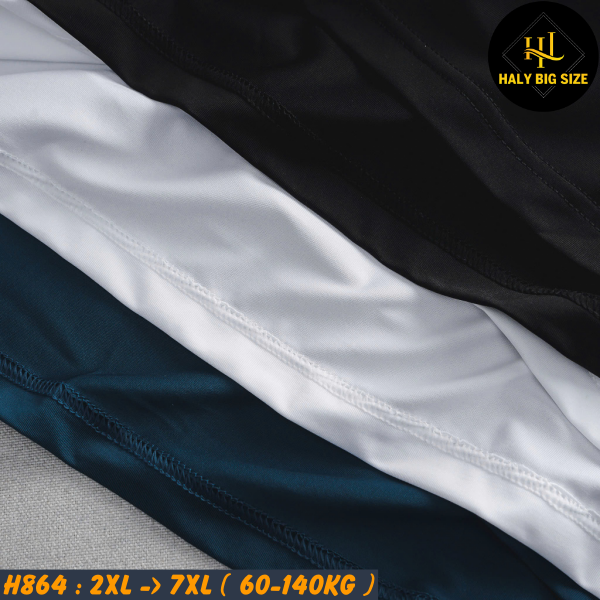 H864-Ao-thun-ba-lo-vai-thun-lanh-big-size-nam