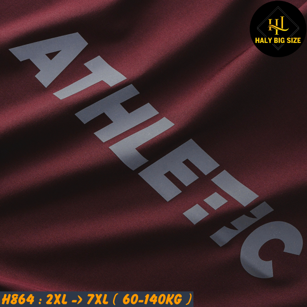 H864-Ao-thun-ba-lo-vai-thun-lanh-big-size-nam