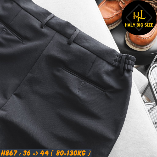 H867-Quan-tay-dai-lung-thun-big-size-nam