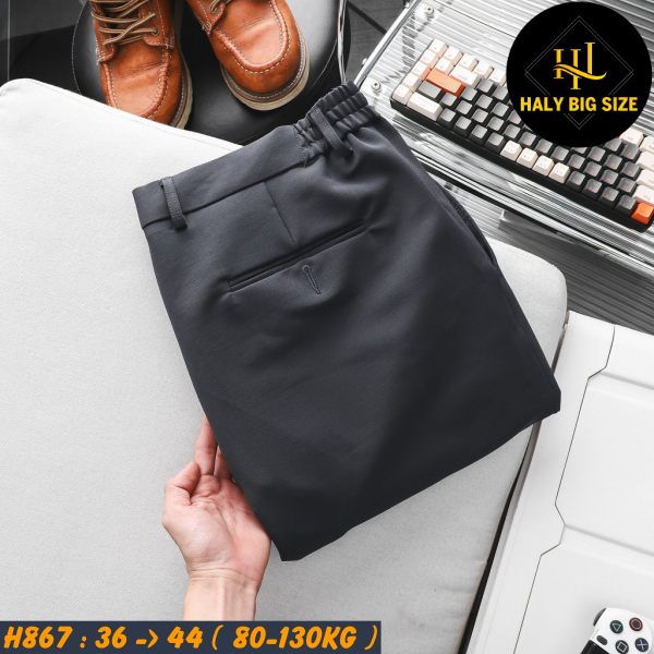 H867-Quan-tay-dai-lung-thun-big-size-nam