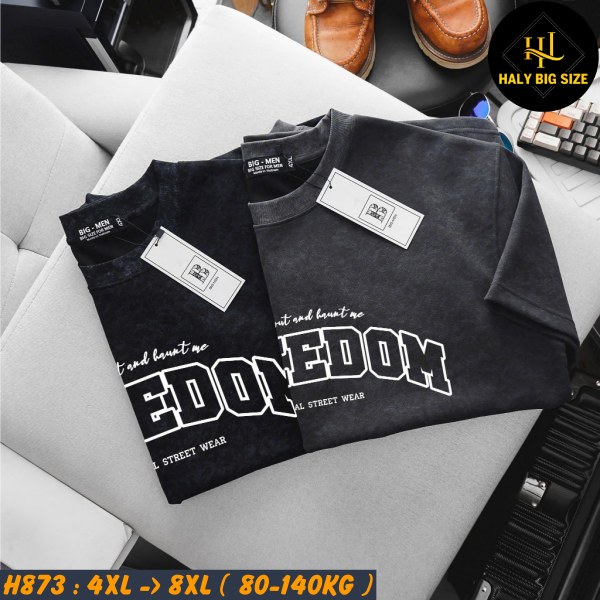 H873-Ao-thun-umi-wash-big-size-nam