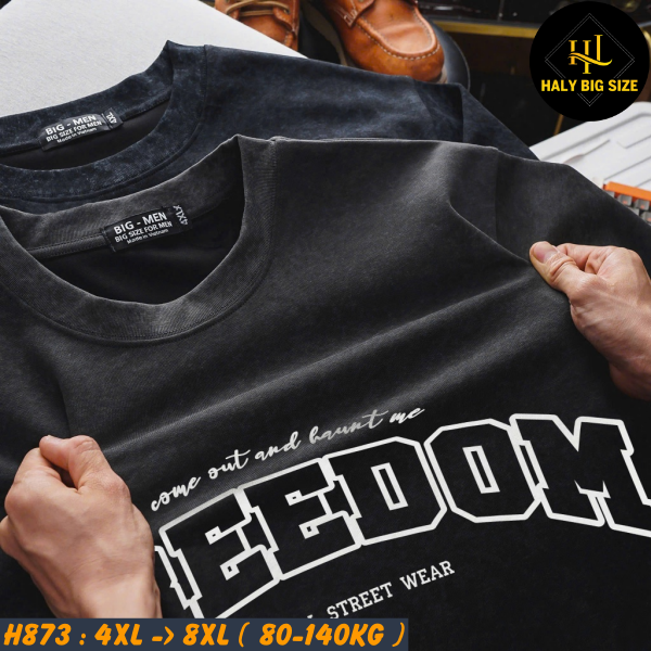 H873-Ao-thun-umi-wash-big-size-nam