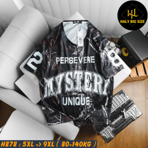 H878-Ao-thun-vai-me-big-size-nam