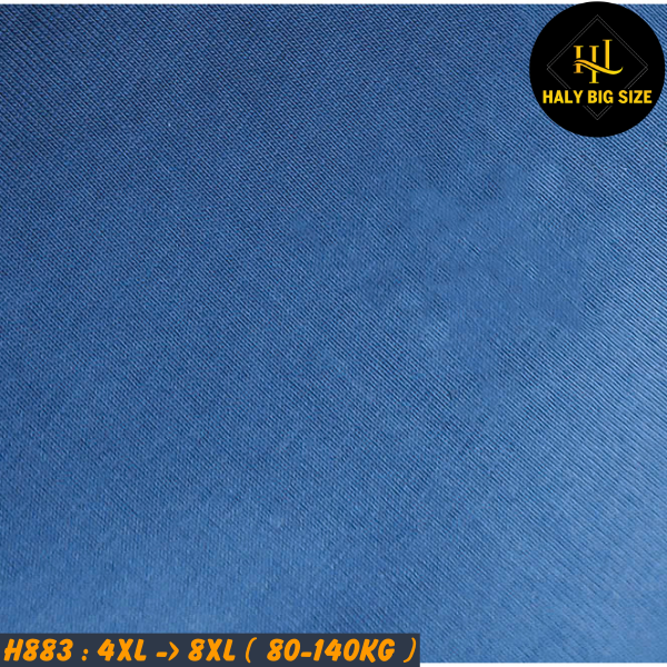 H883-Ao-thun-cotton-mau-xanh-bien-big-size-nam