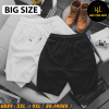 H889-Quan-short-to-ong-big-size-nam
