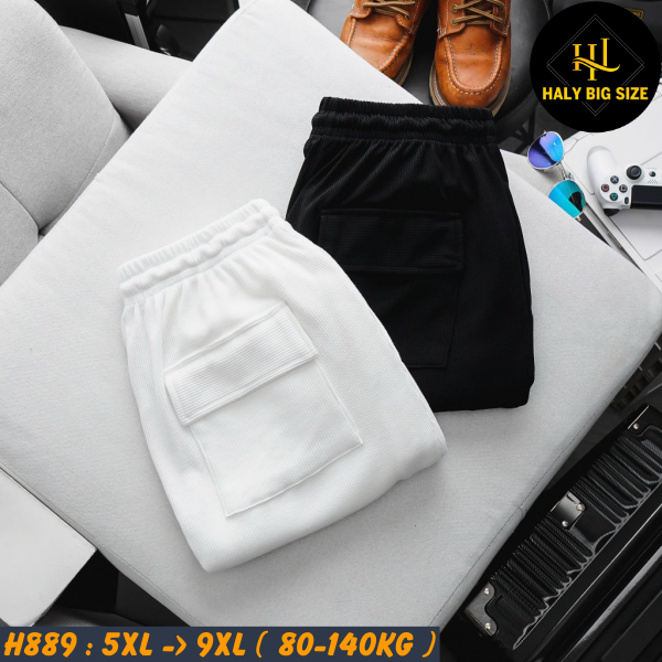 H889-Quan-short-to-ong-big-size-nam