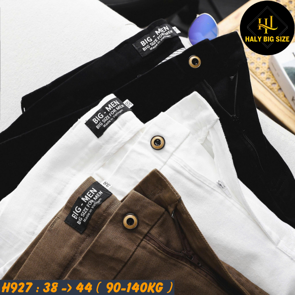 H927-Quan-short-kaki-lung-thun-2-ben-big-size-nam