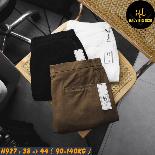H927-Quan-short-kaki-lung-thun-2-ben-big-size-nam