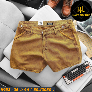 H953-Quan-short-form-ngan-tren-goi-big-size-nam